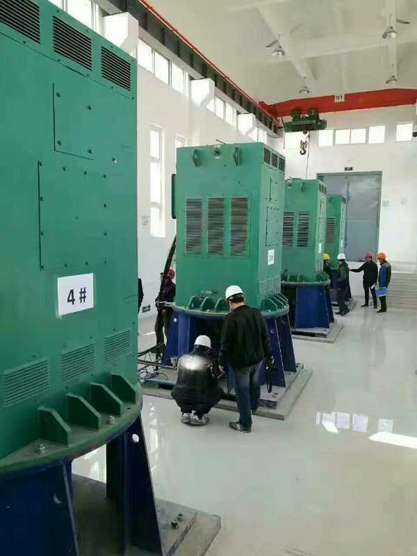 南郑某污水处理厂使用我厂的立式高压电机安装现场